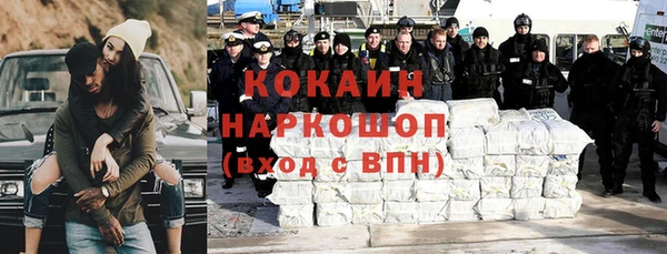 сатива Алзамай