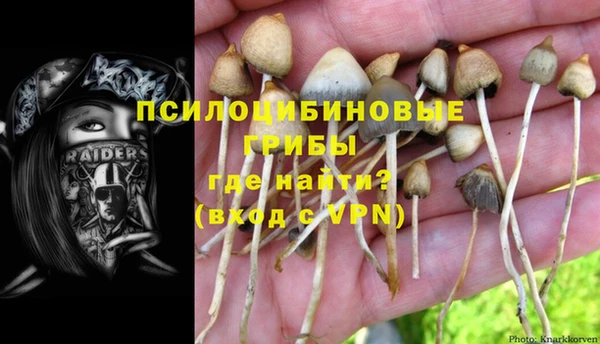 молекула духа Алексин