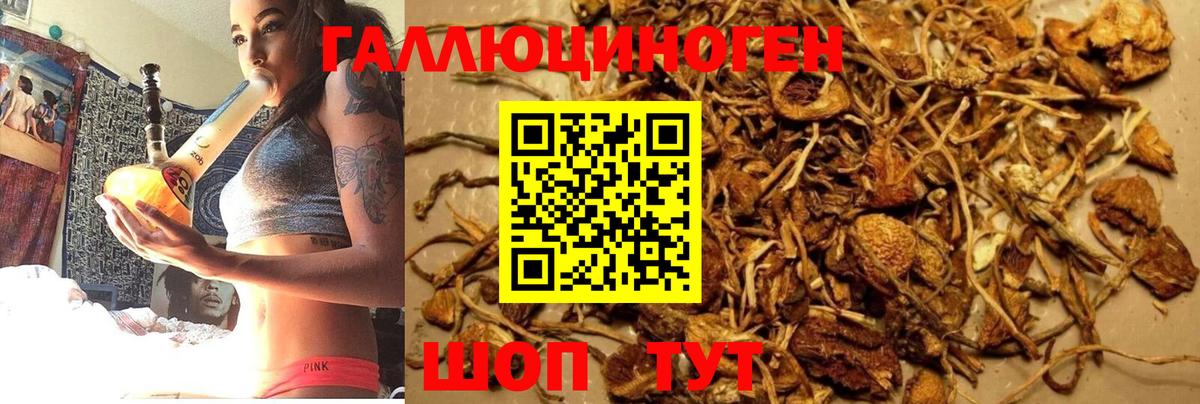 Галлюциногенные грибы GOLDEN TEACHER Кемерово